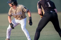 DSC_7323-Enhanced-NR-copy