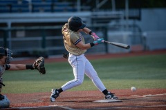 DSC_7360-Enhanced-NR-copy