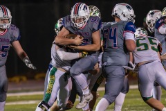 DSC_7962-Enhanced-NR