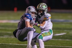 DSC_8017-Enhanced-NR