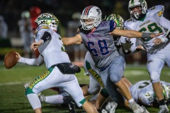 DSC_8872-Enhanced-NR