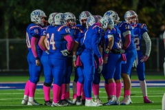 DSC_2861-Enhanced-NR