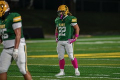 DSC_0705-Enhanced-NR