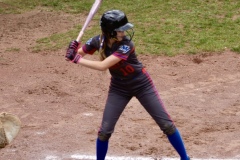 DSC6331
