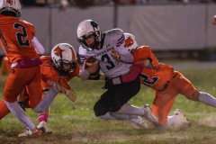 DSC_0469-Enhanced-NR