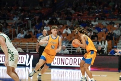 DSC2985