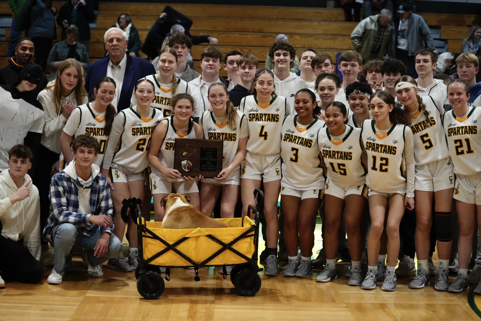 Regional Basketball: Greenbrier East pulls past Nicholas County in third quarter, punches ticket to Charleston