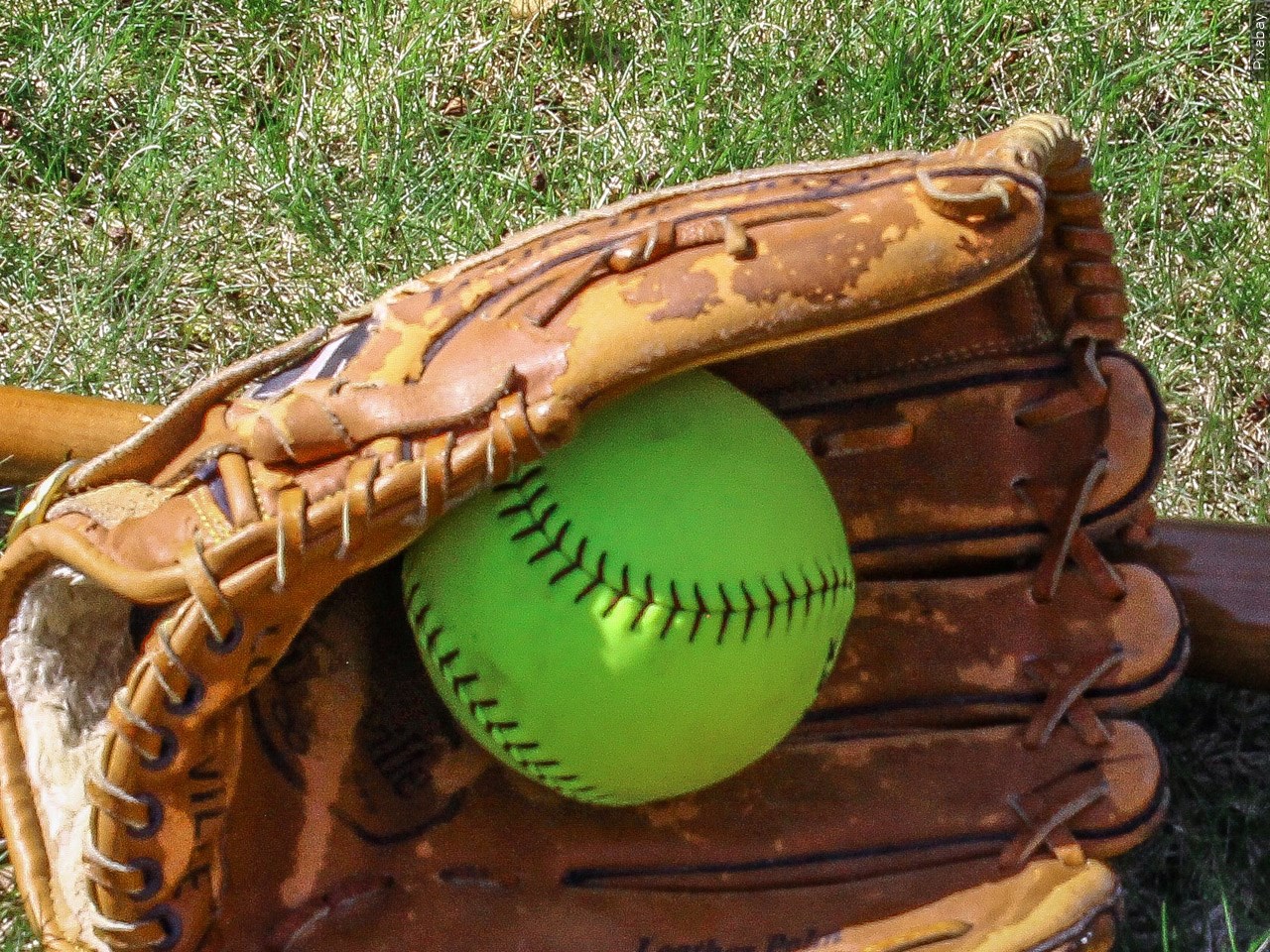 Prep Softball Roundup: Montcalm and Mount View win; River View and Greater Beckley to meet in elimination game