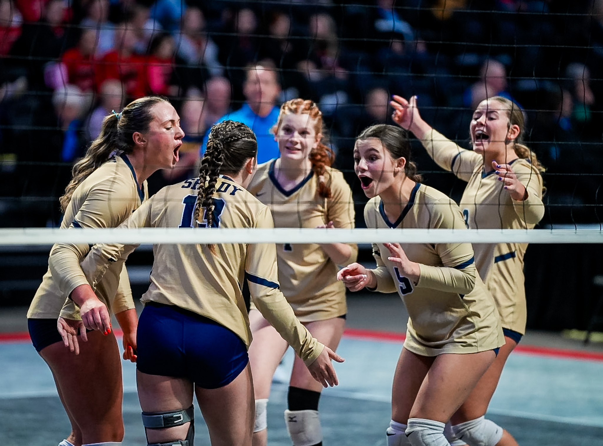 All-State Volleyball: Shady’s Stover and Mann earn first team honors; Creager and Fragile named to second team