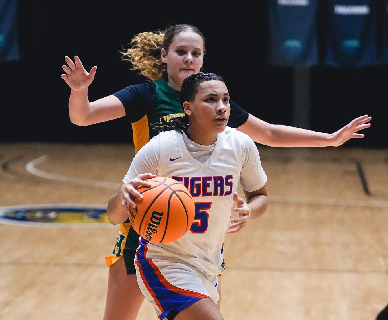 Girls Basketball Roundup: Princeton, Midland Trail, James Monroe and Greater Beckley win